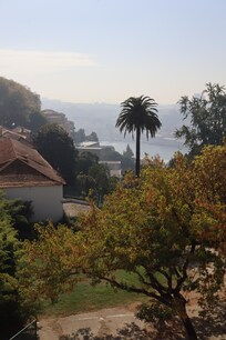 A view from the park above the hotel