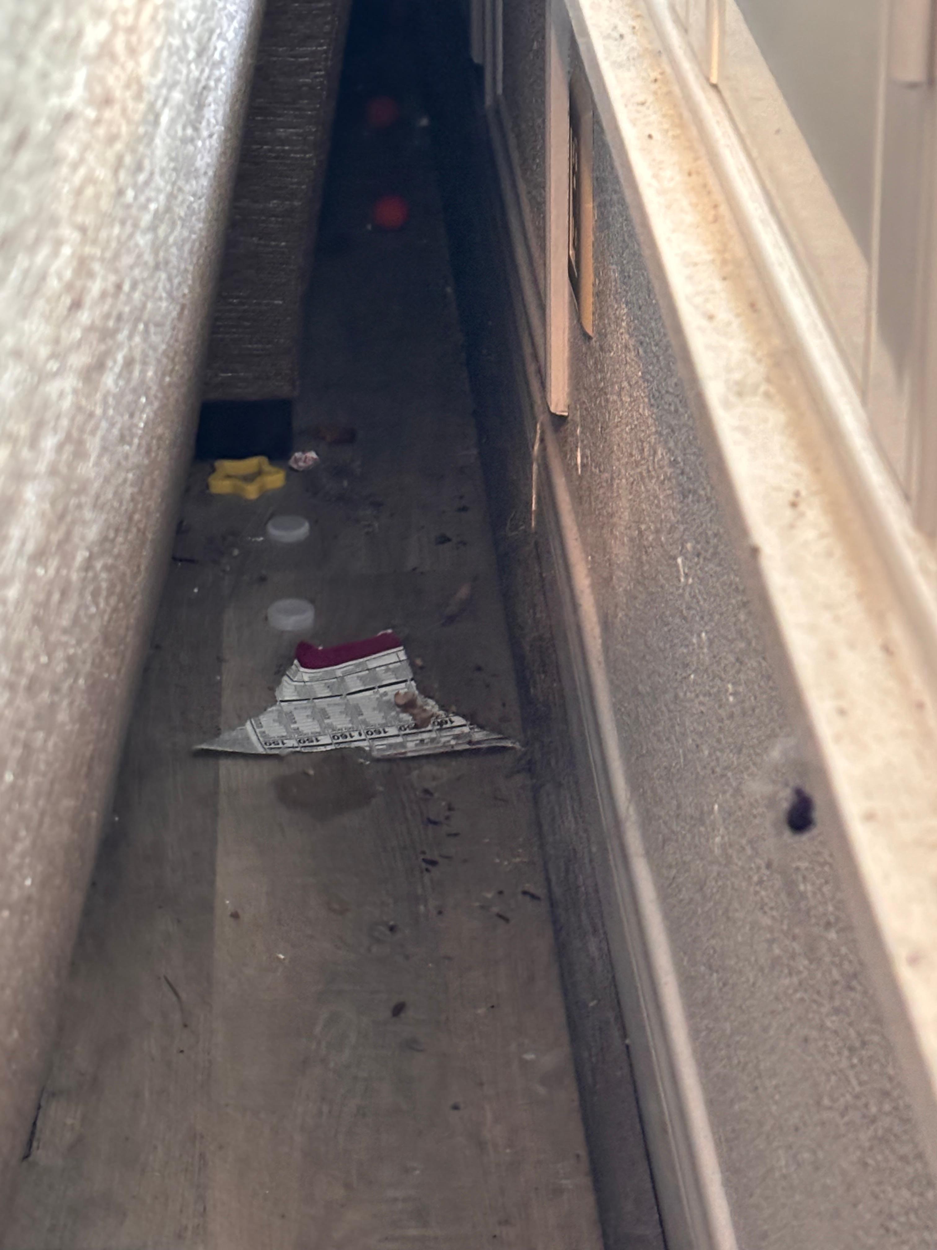 Trash / food debris behind sectional in living room
