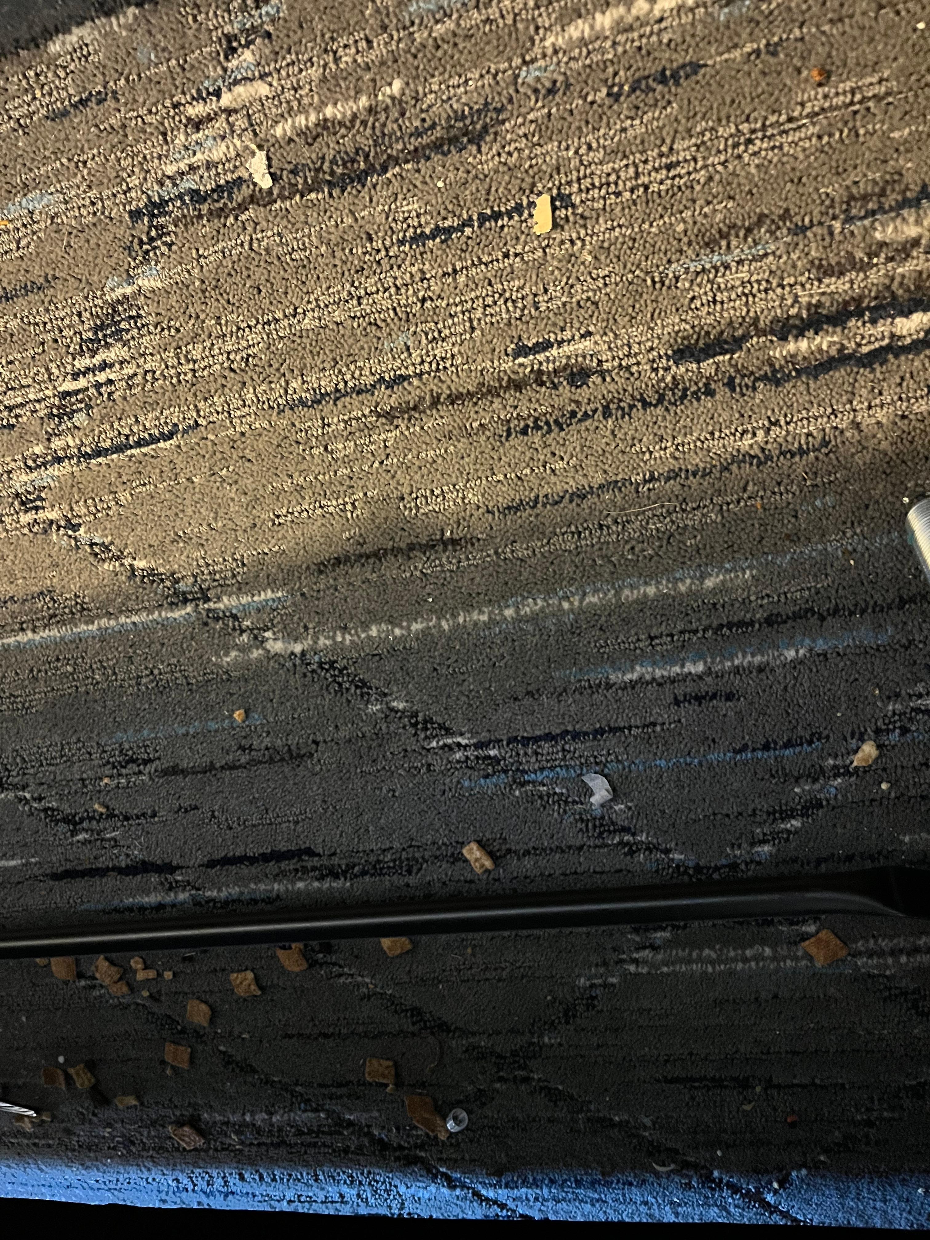 This was left under the pull out bed. 