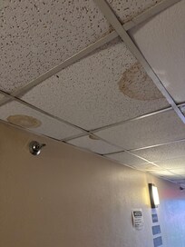 Ceiling tiles
