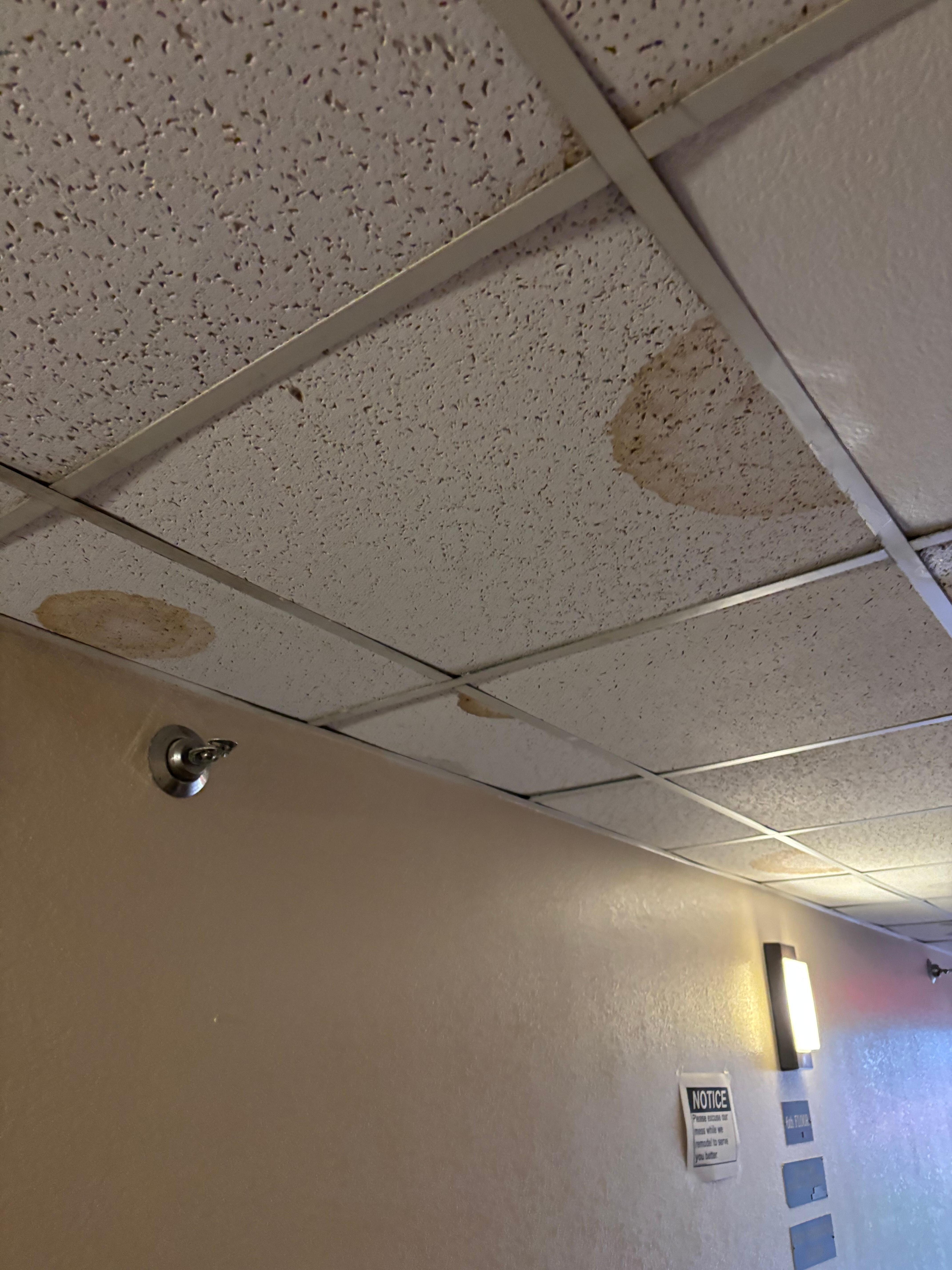 Ceiling tiles
