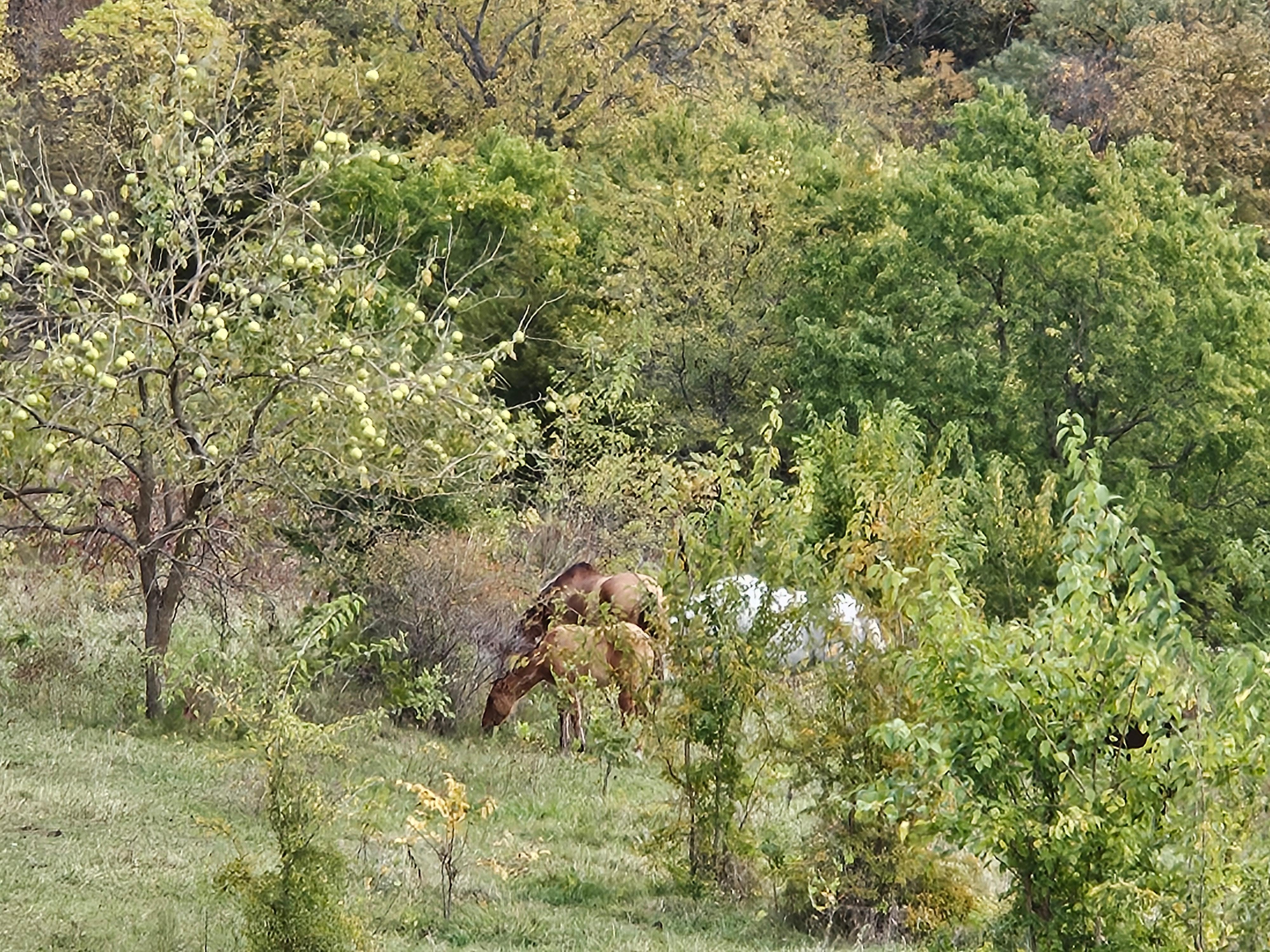 View from front of house