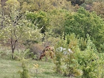 View from front of house