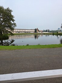 Duck pond if front of my cabin.