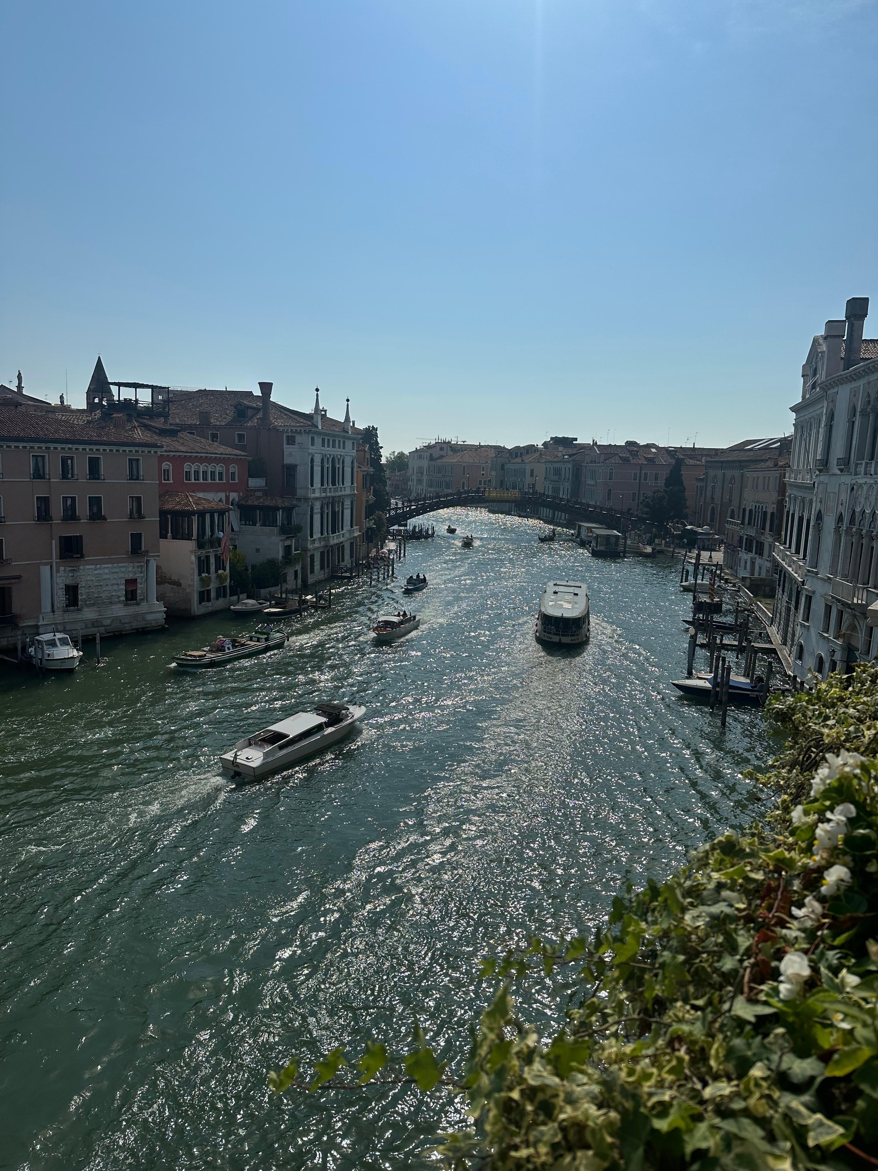 Another view from the front.