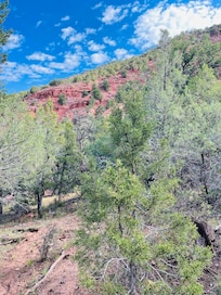 Picture from the back of the house