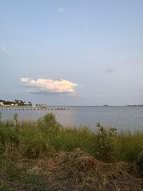 View from back yard