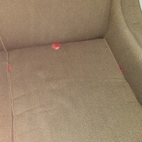 Old rose petals left from previous person