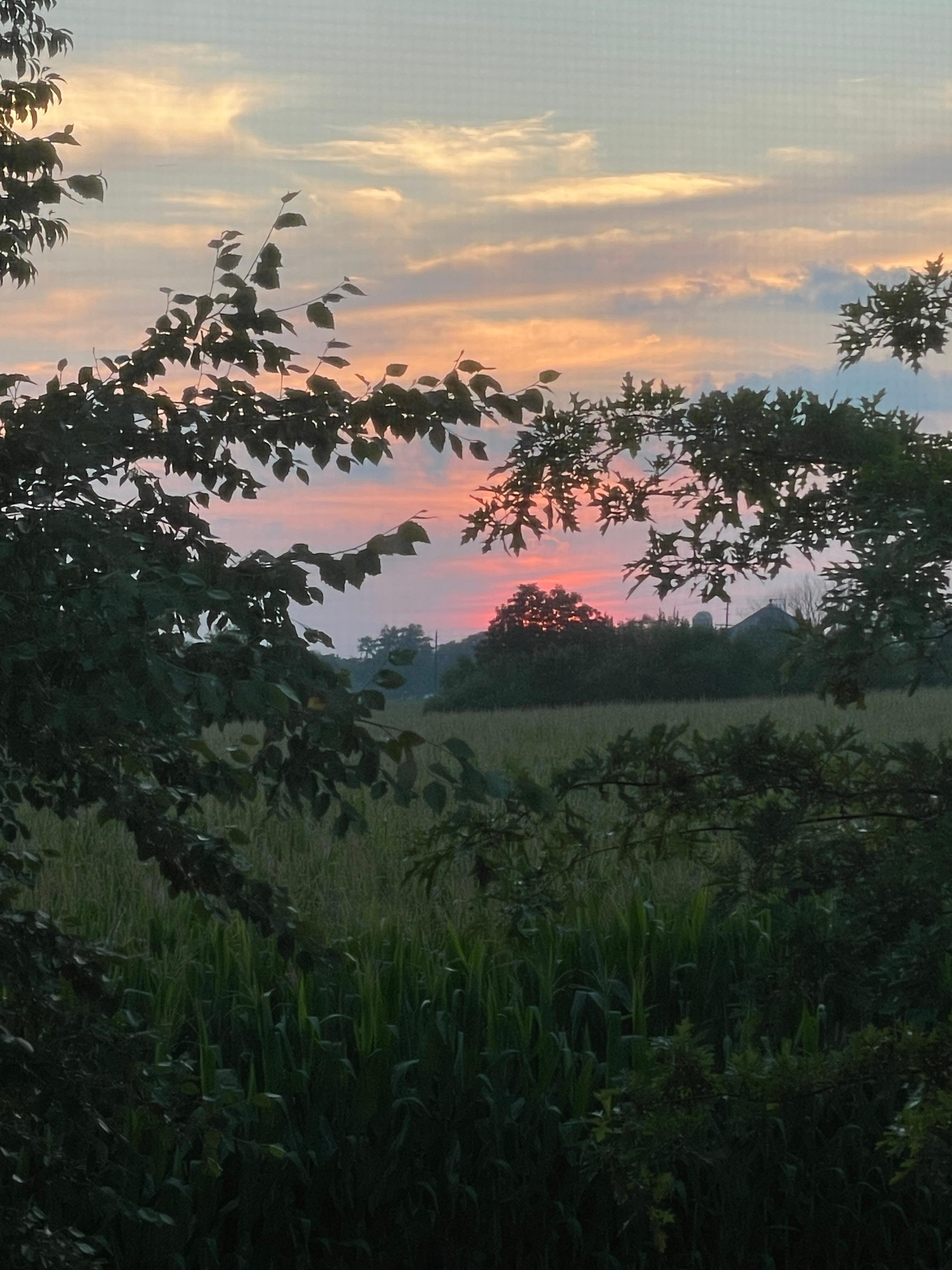 Beautiful view on our last night