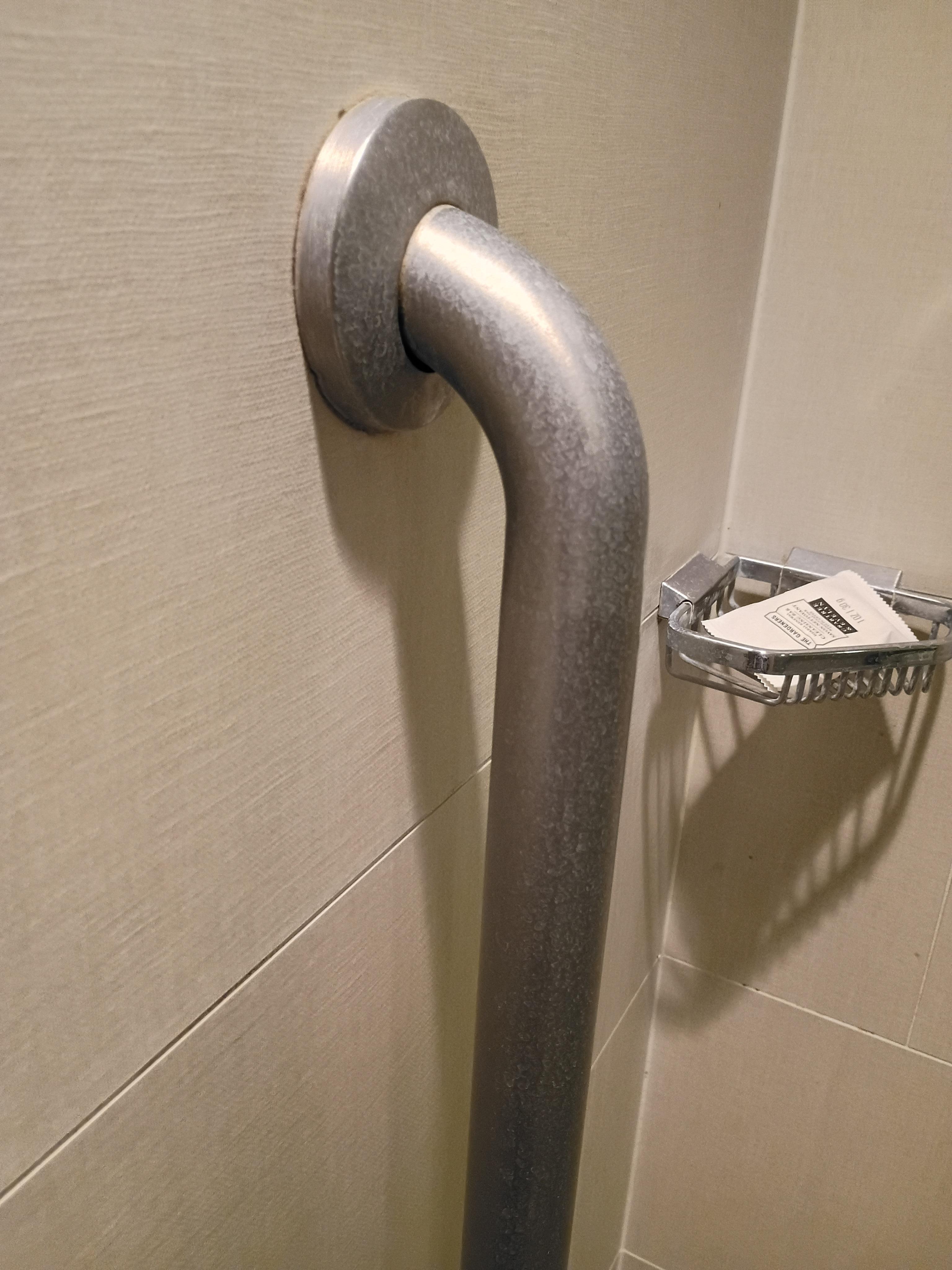 The shower handle