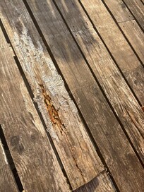 Rotten wood