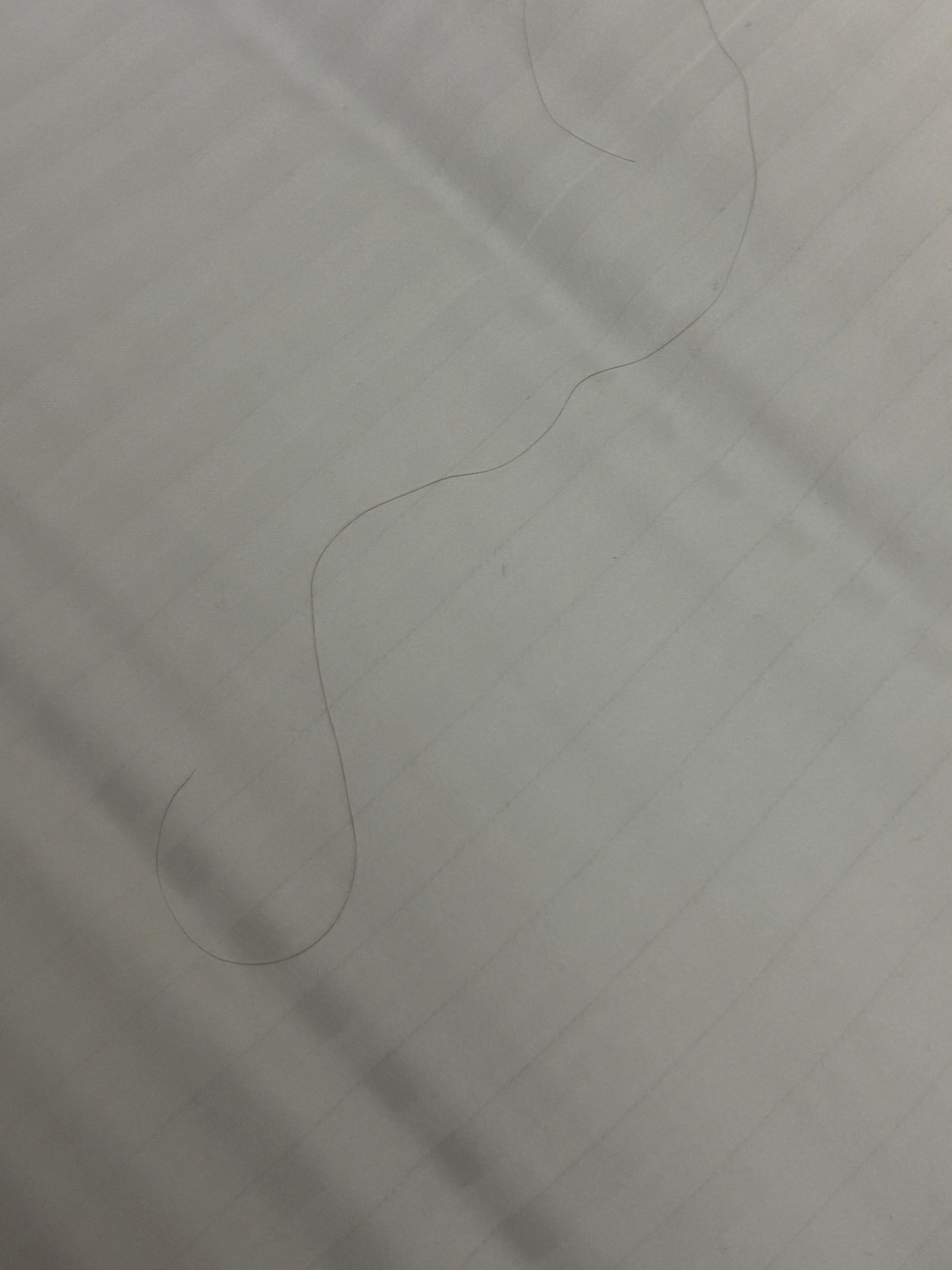 Hair in bed when I pulled back covers. 
