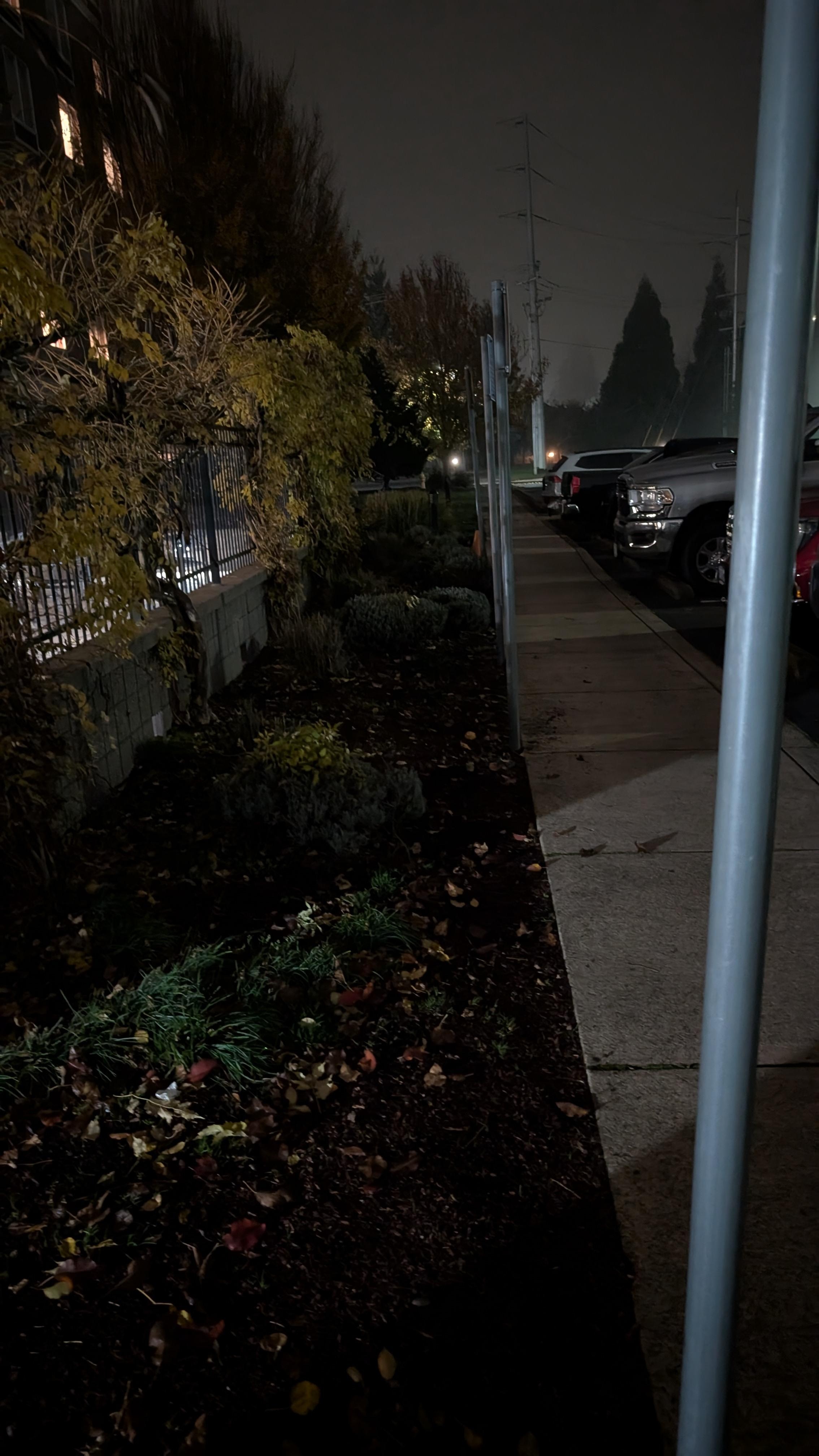 Outdoor lighting broken, dark parking lot and pet area in a neighborhood overrun by transients.