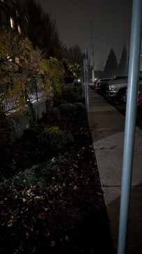 Outdoor lighting broken, dark parking lot and pet area in a neighborhood overrun by transients.