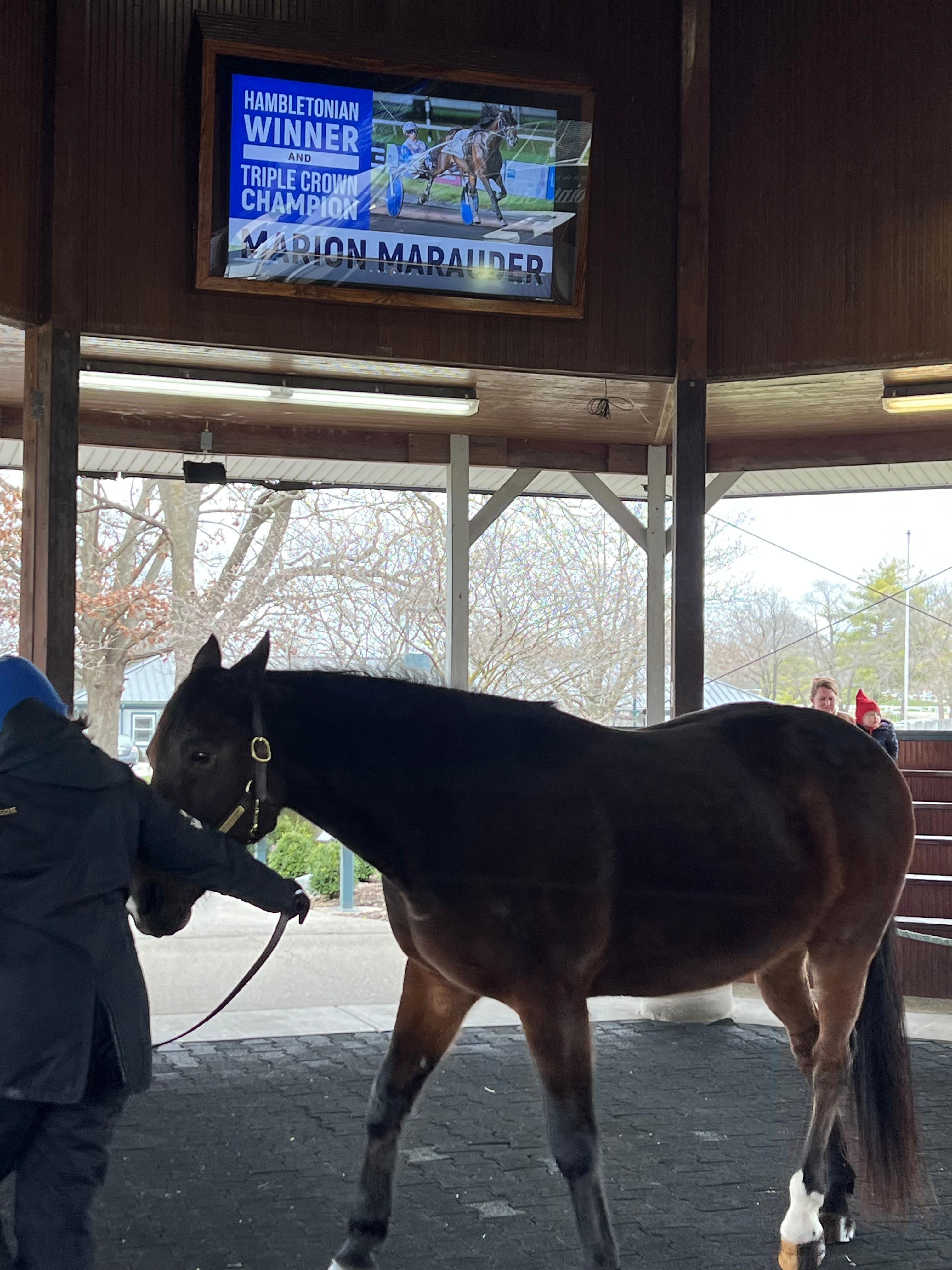 Lexington Horse Park