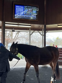 Lexington Horse Park