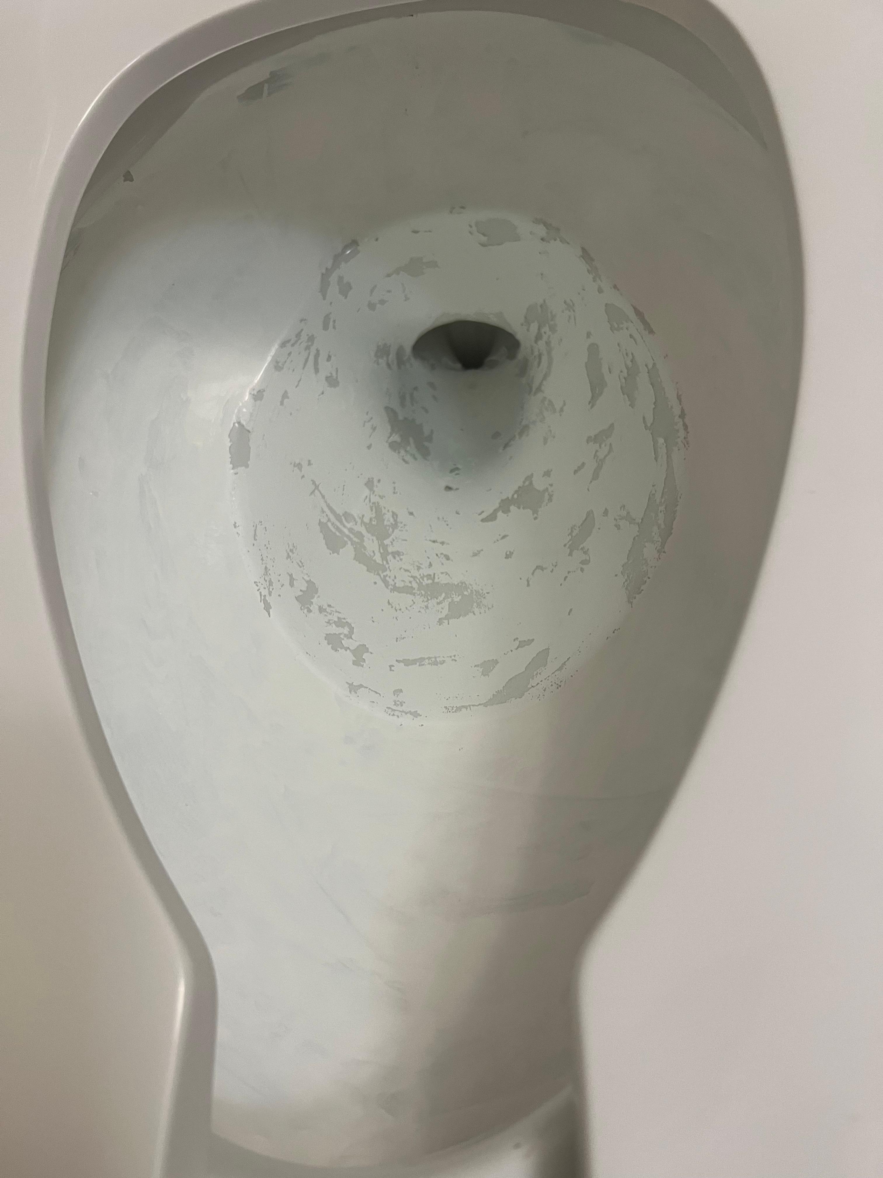 What is going on in this toilet