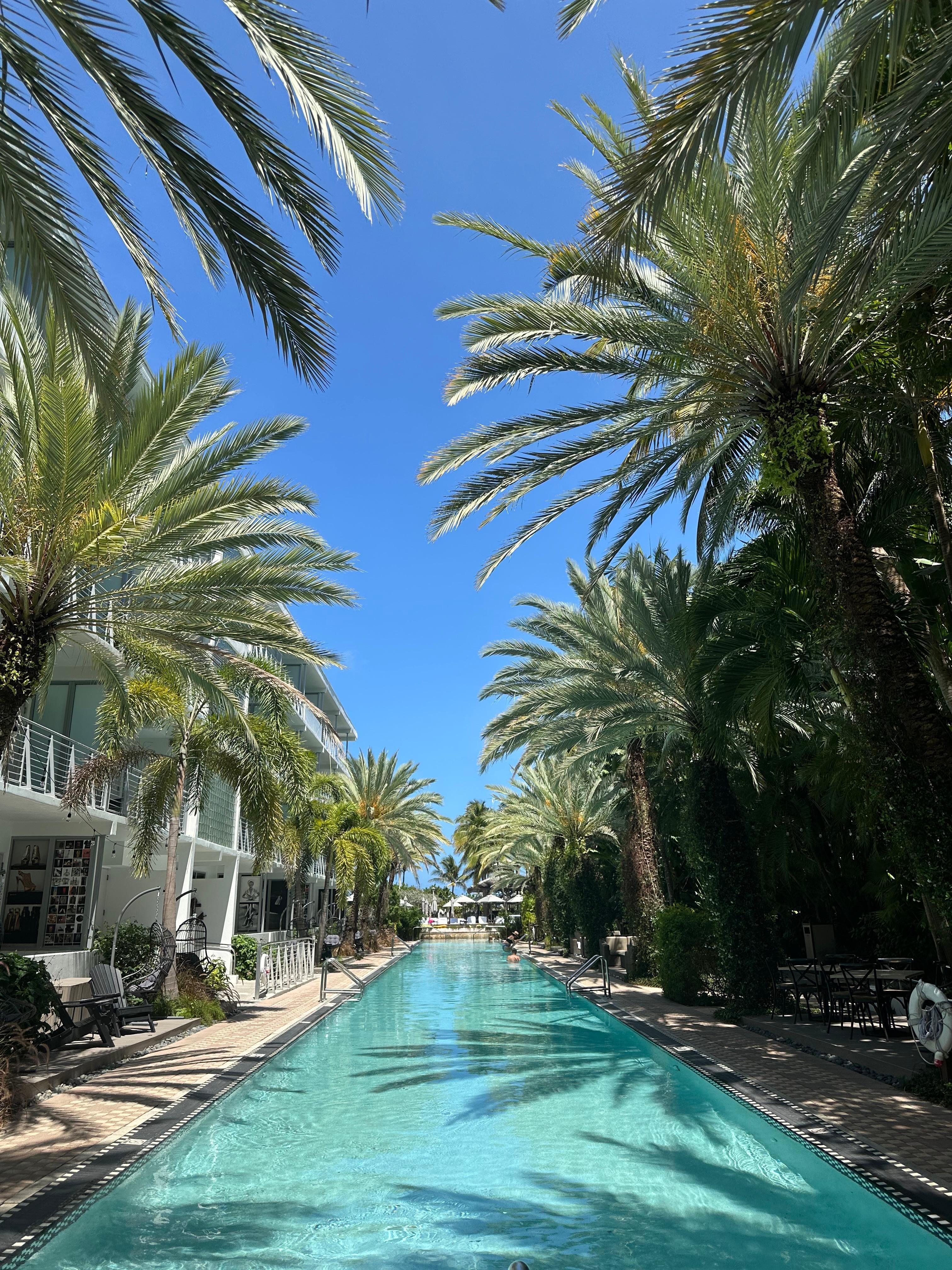 Hotel pool
