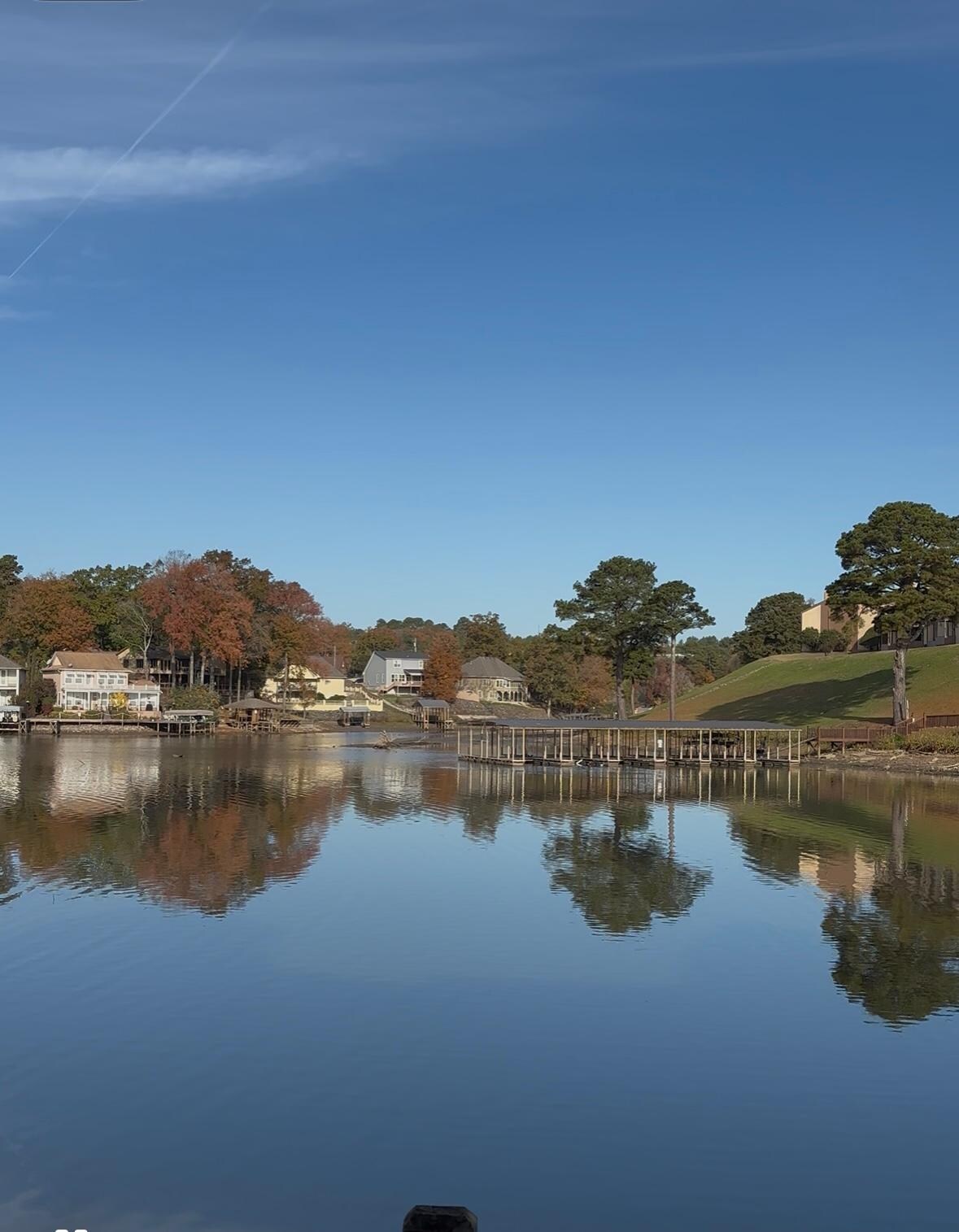View from the back deck