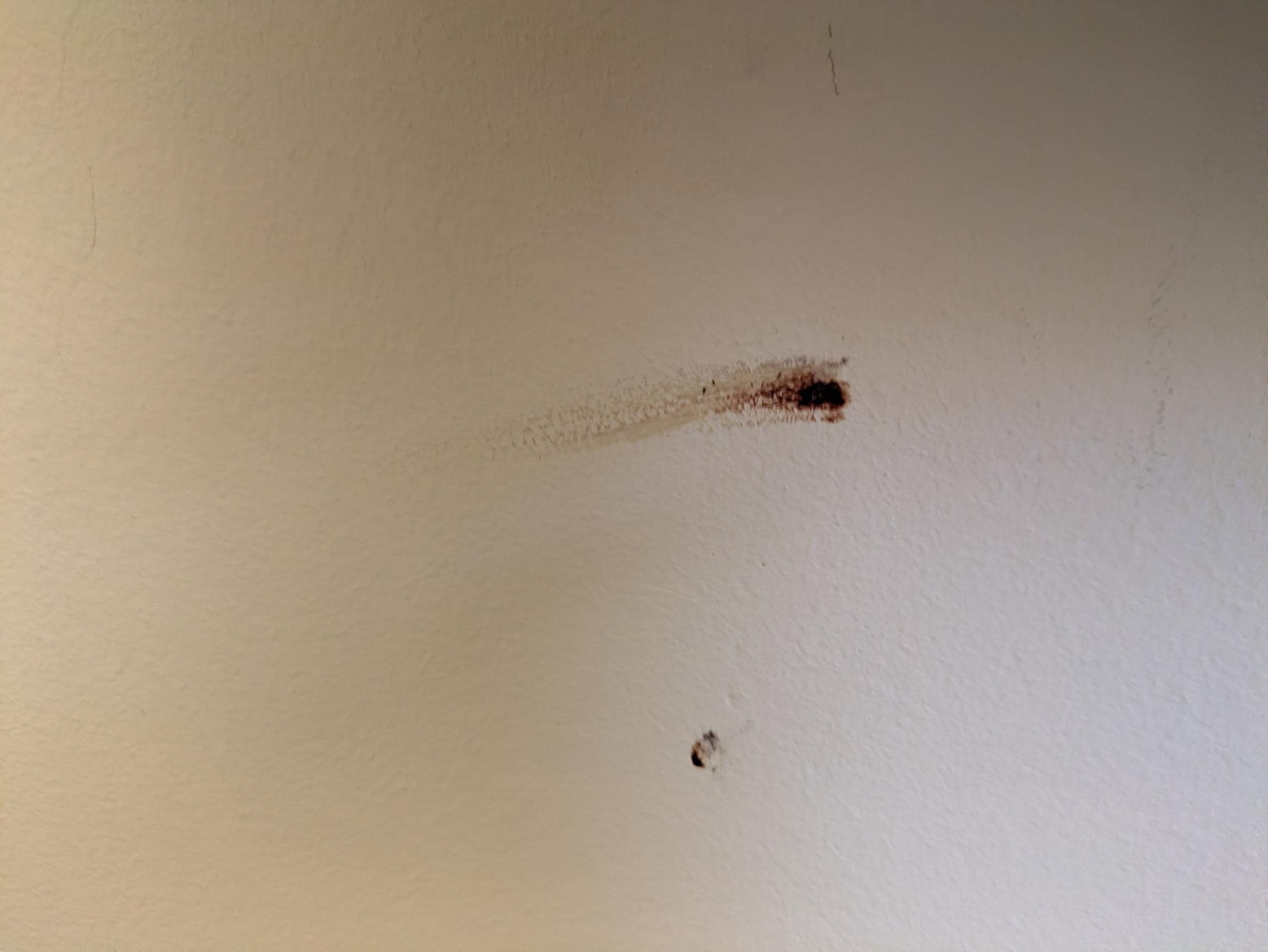 Blood and stains on the walls