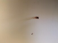 Blood and stains on the walls