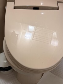 Uneven toilet seat