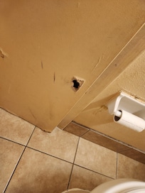 Hole on other side of bathroom door