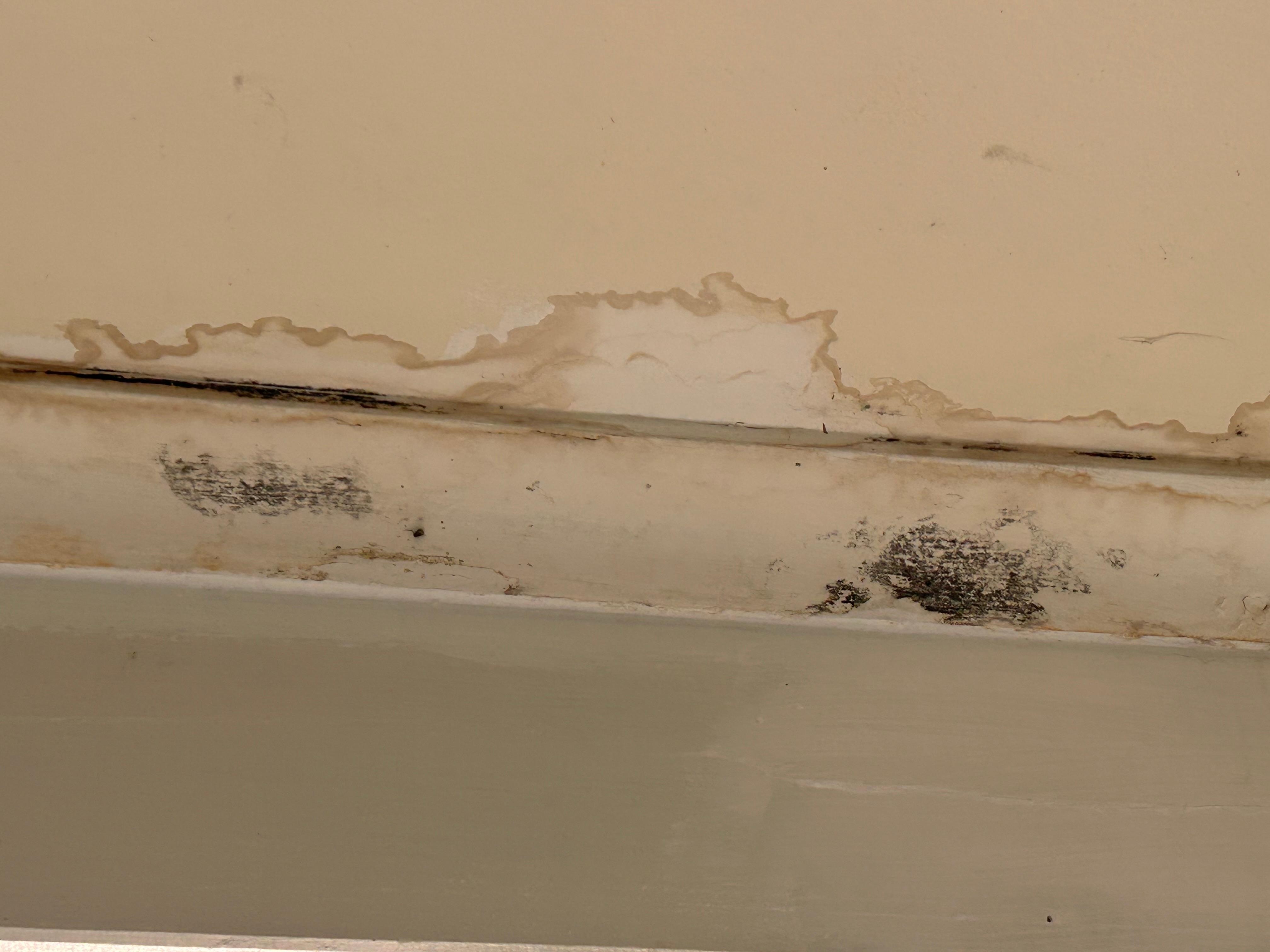 mold, water stains and rot in the bathroom