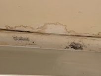 mold, water stains and rot in the bathroom