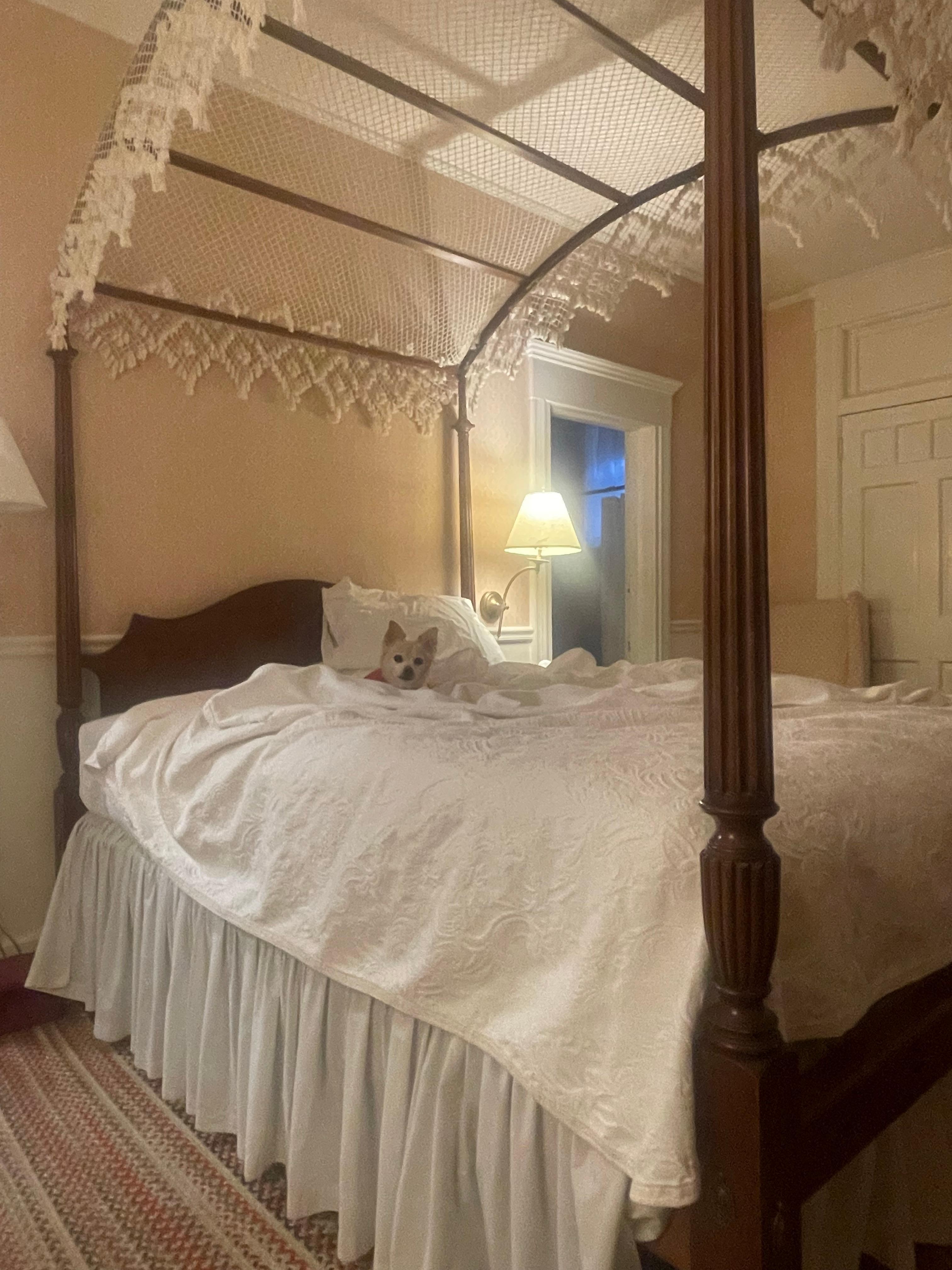 The bed was very comfortable!