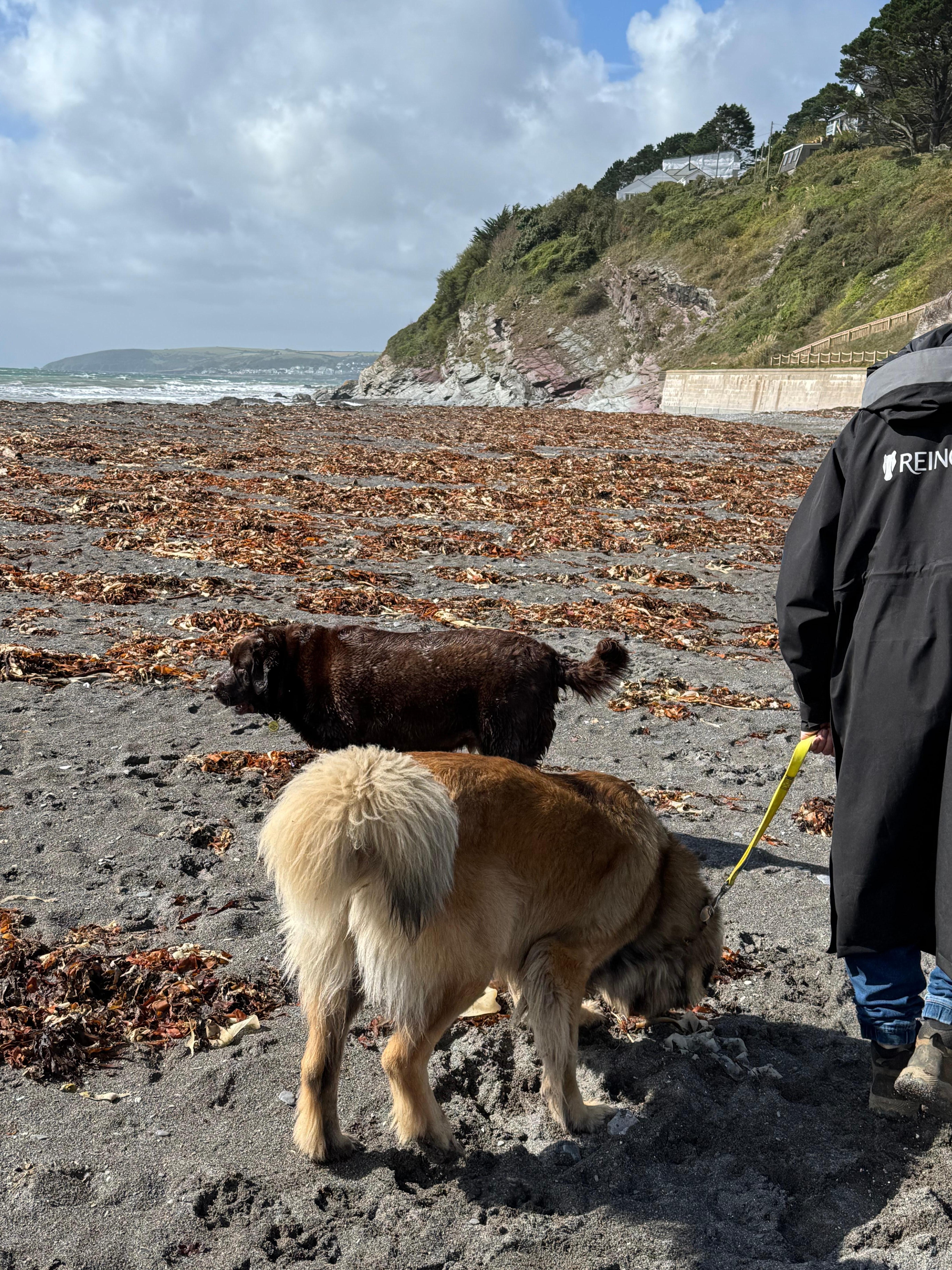 Exploring Seaton Beach