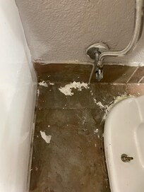 Toilet paper dried to flow