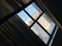 Disgusting window with pigeons and pigeons poop all over