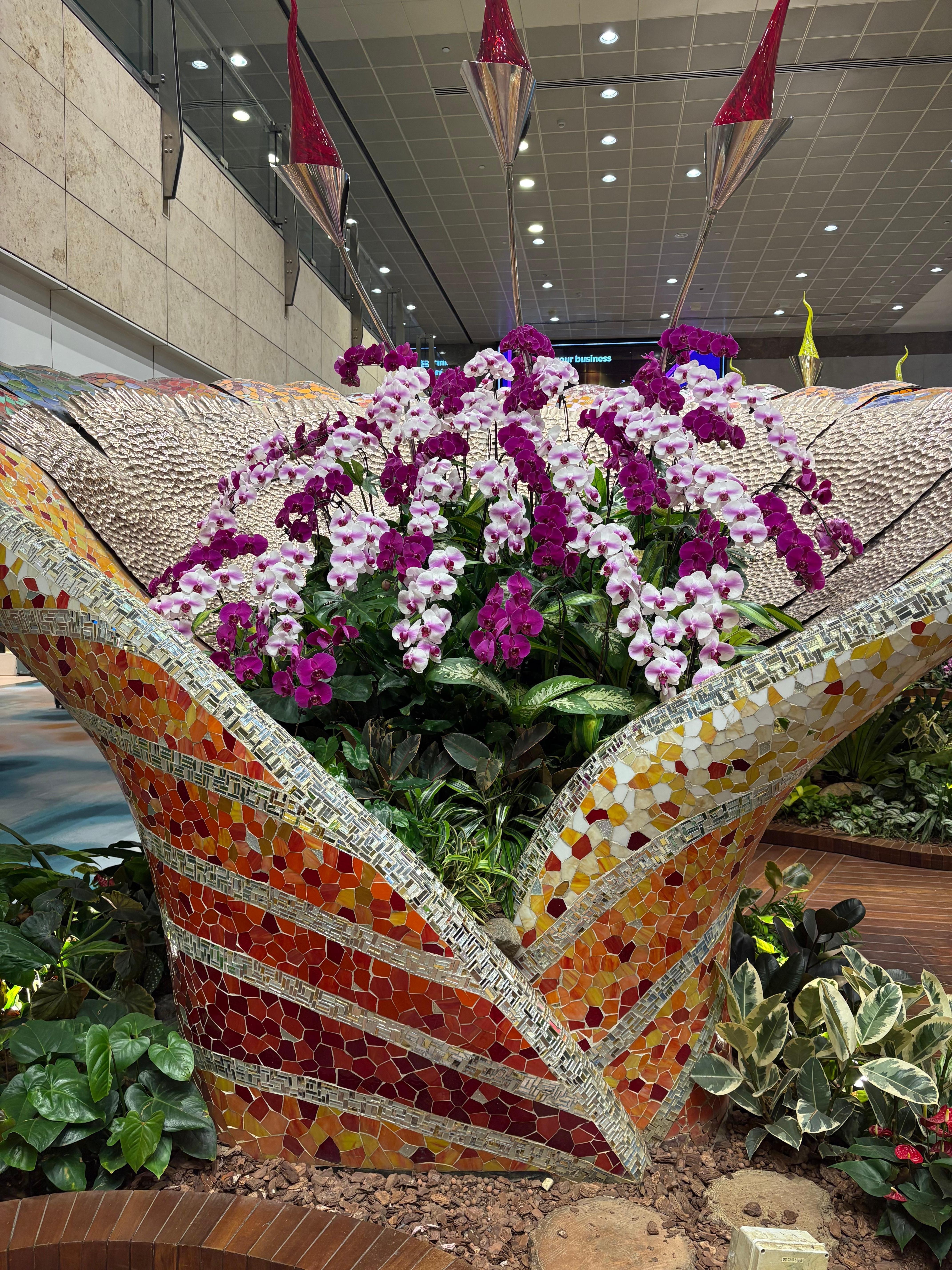 Orchids