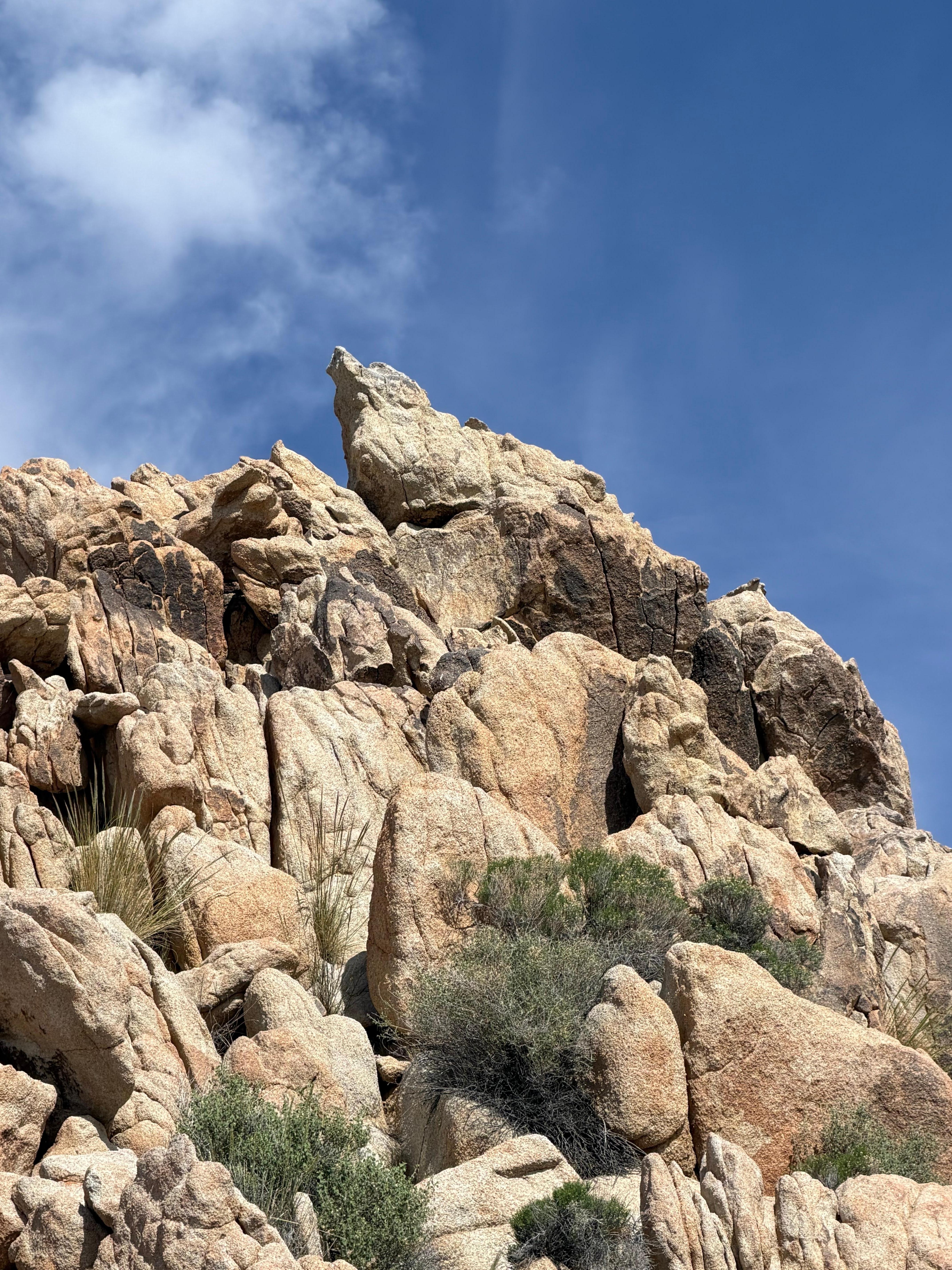 Coyote rock visible from front deck. 