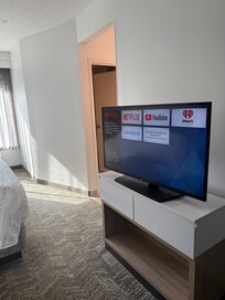 Large screen television