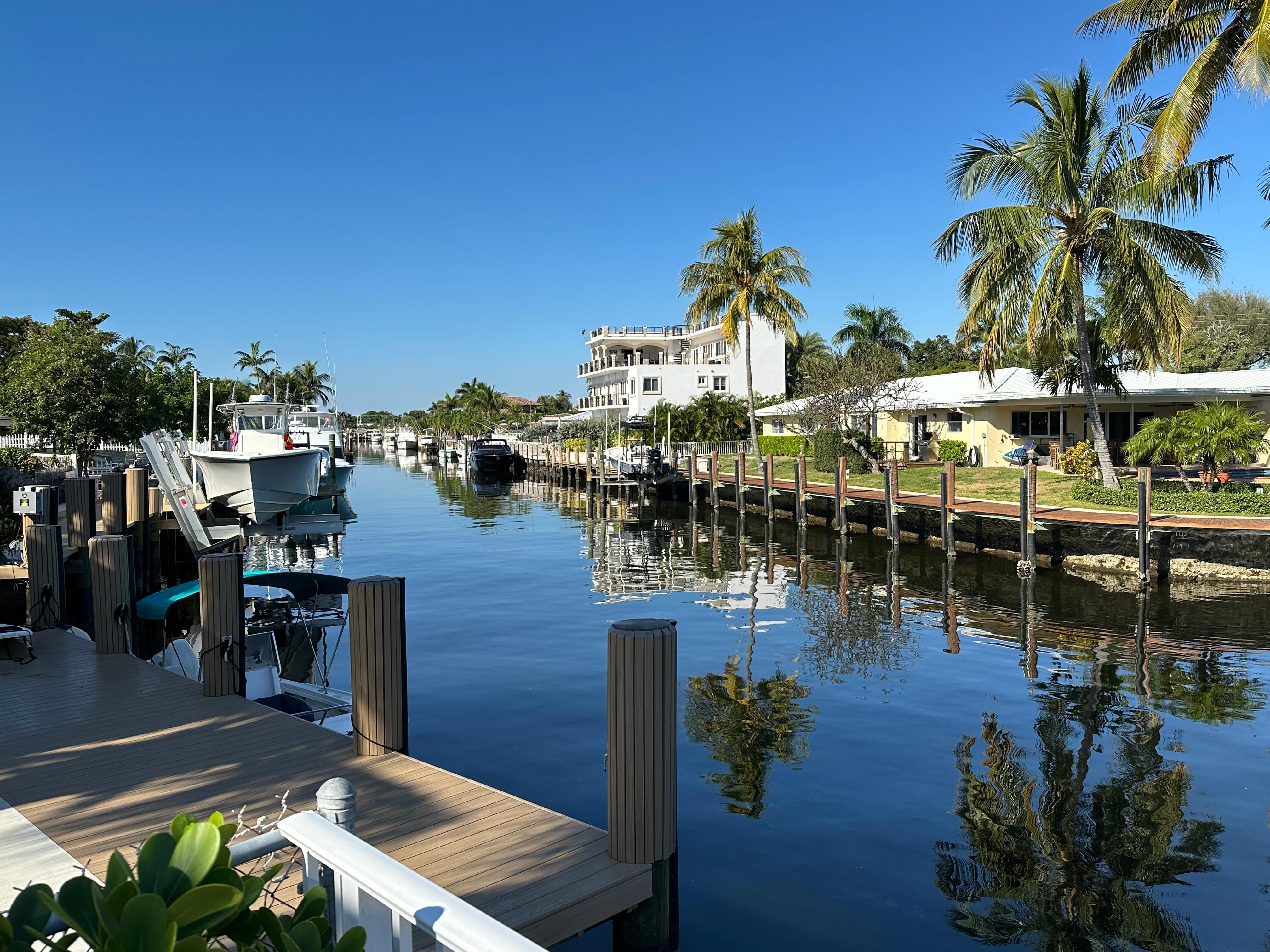 View from the patio.