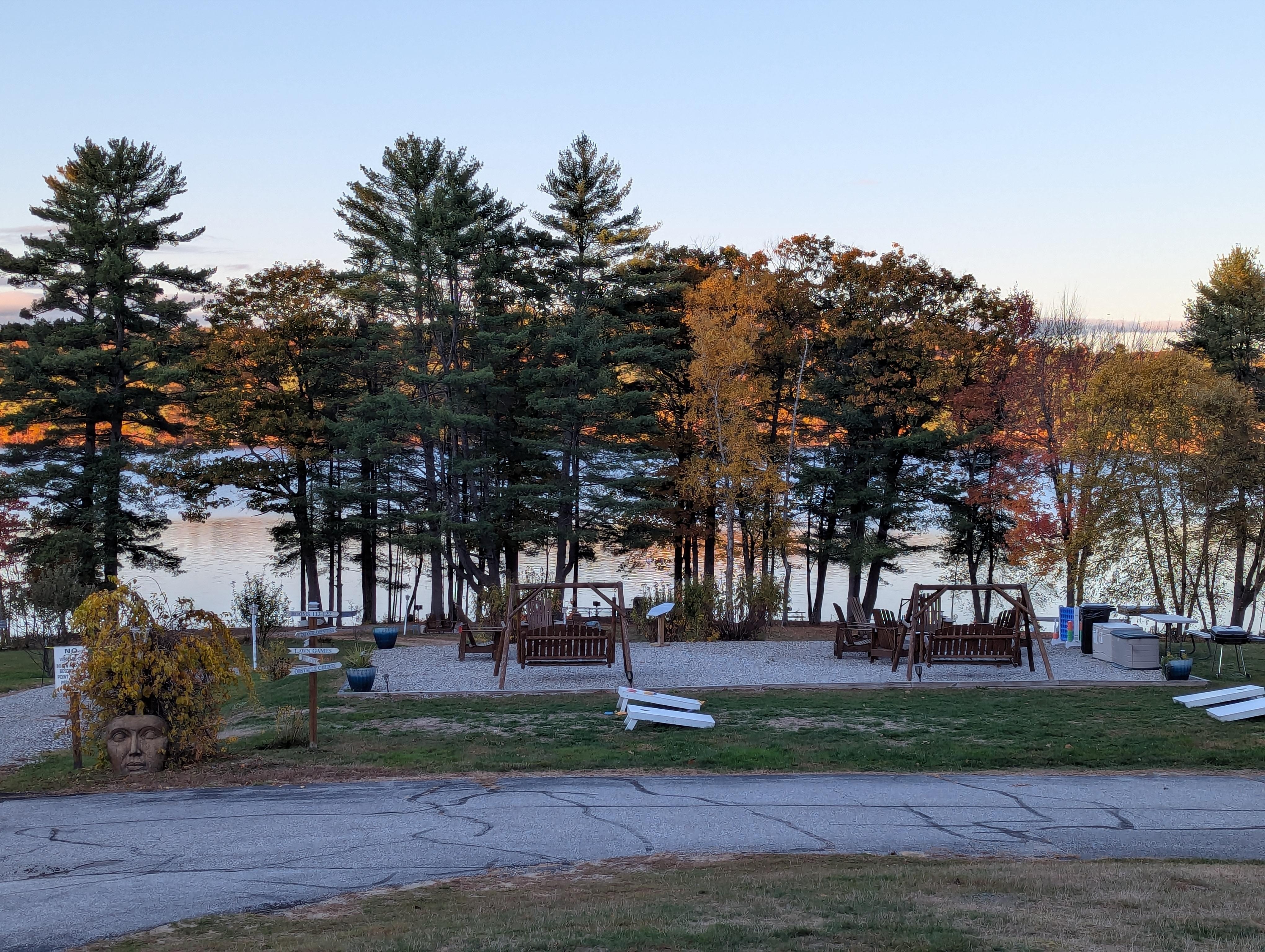 View out the back porch.