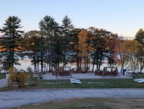 View out the back porch.
