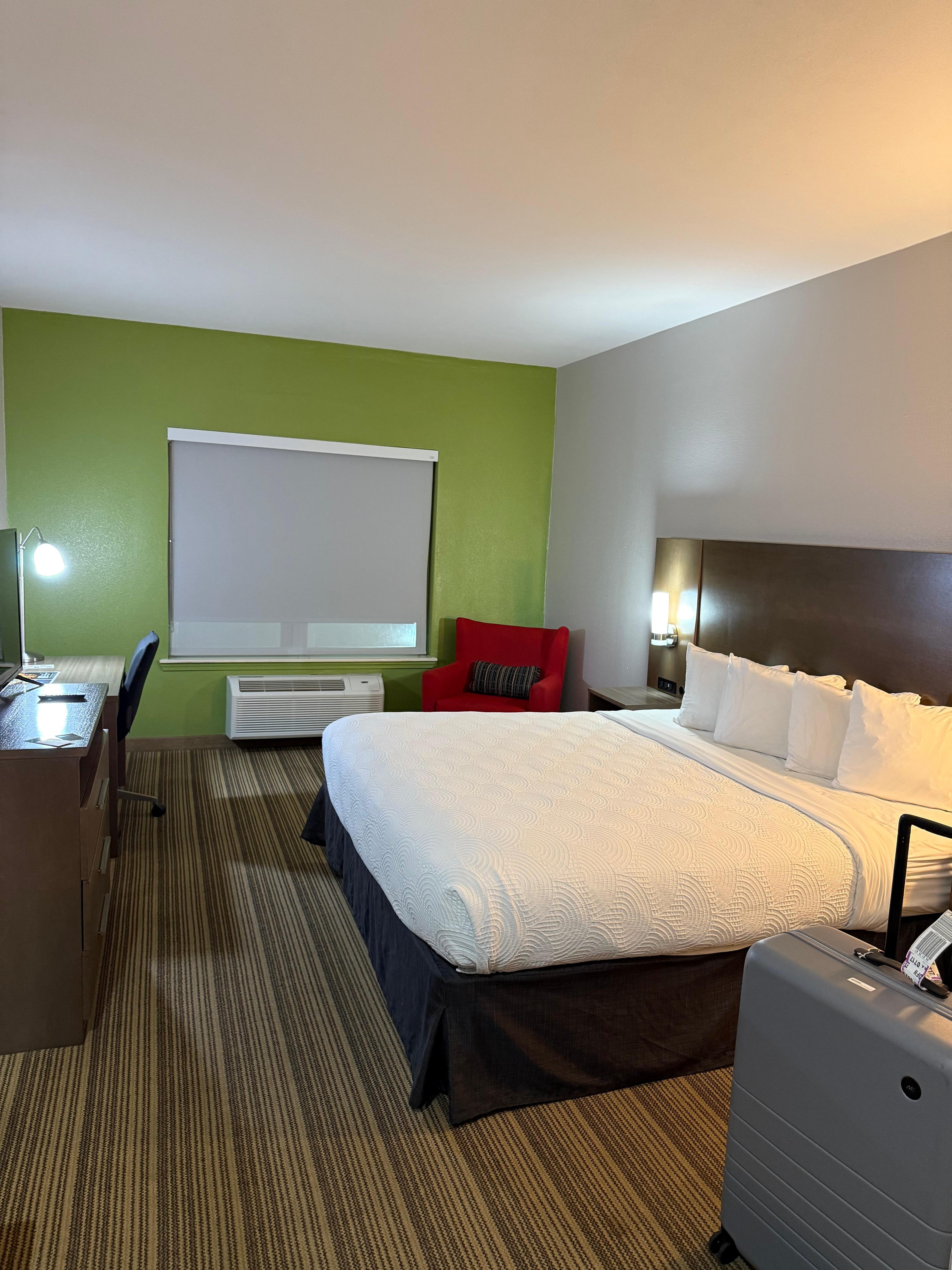 Clean and comfy room…except for the carpet.