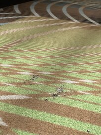 Rubble for some reason on the carpet?