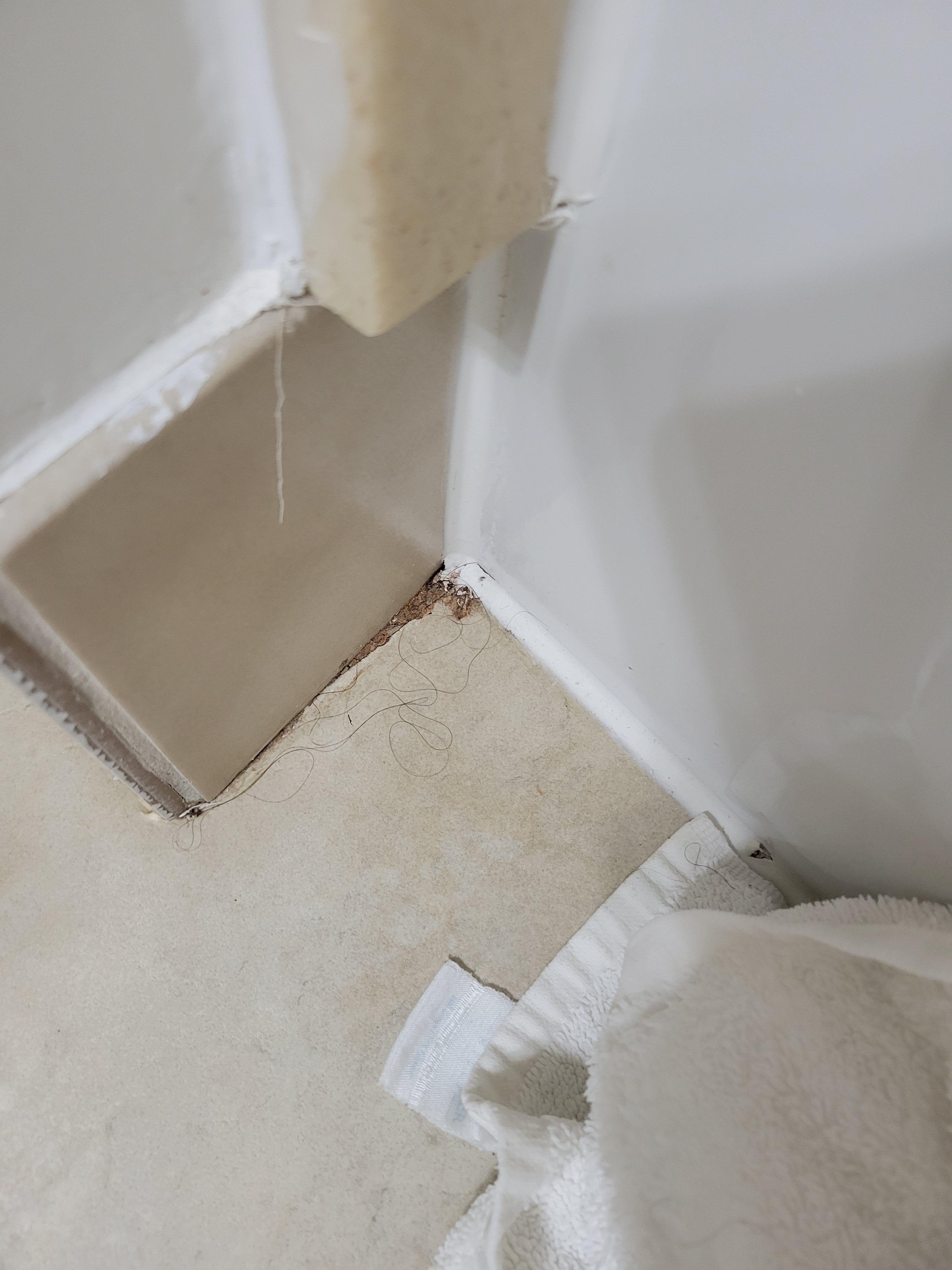 Hair & dirt.. was there when we arrived