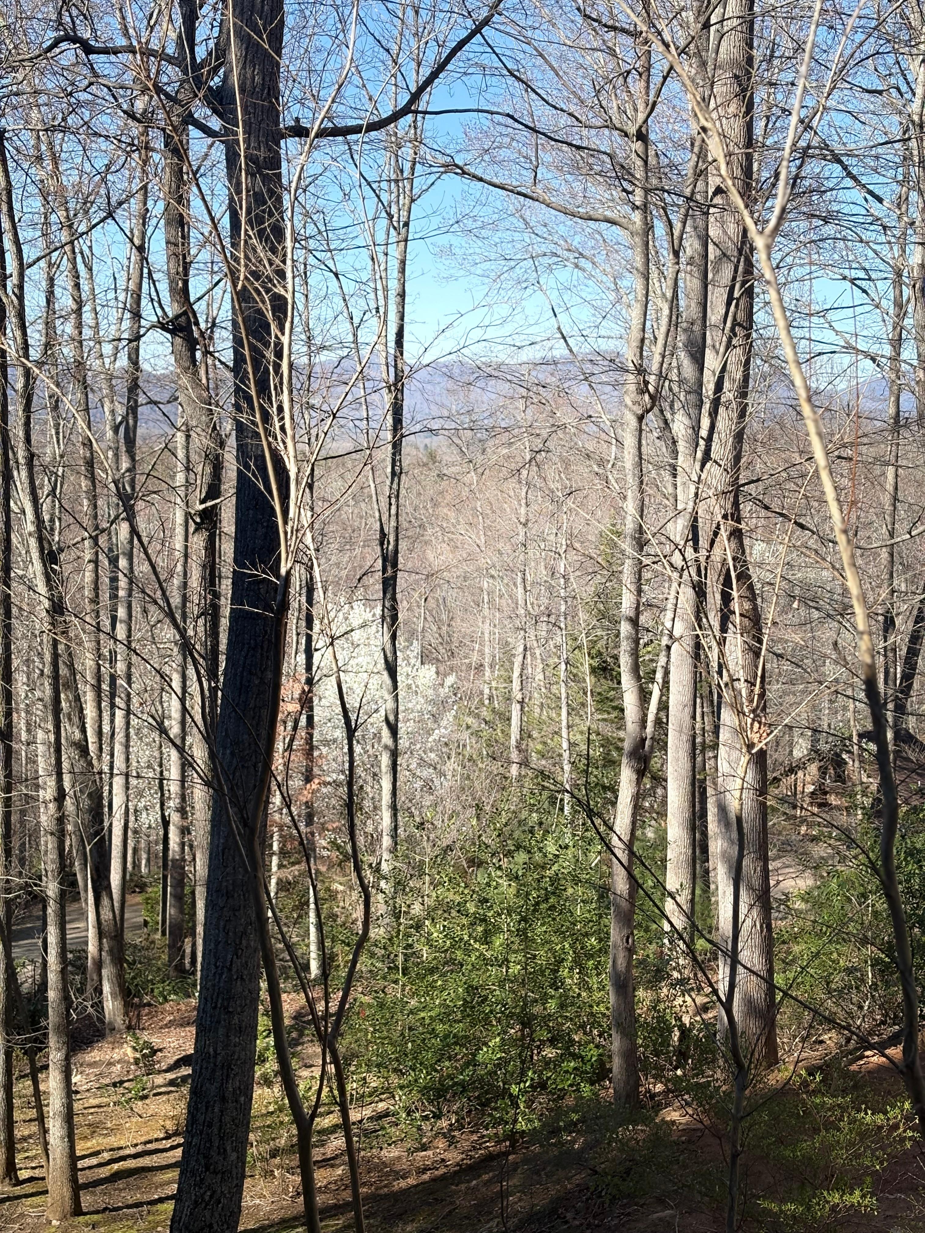 Another beautiful view of the landscape from the balcony.