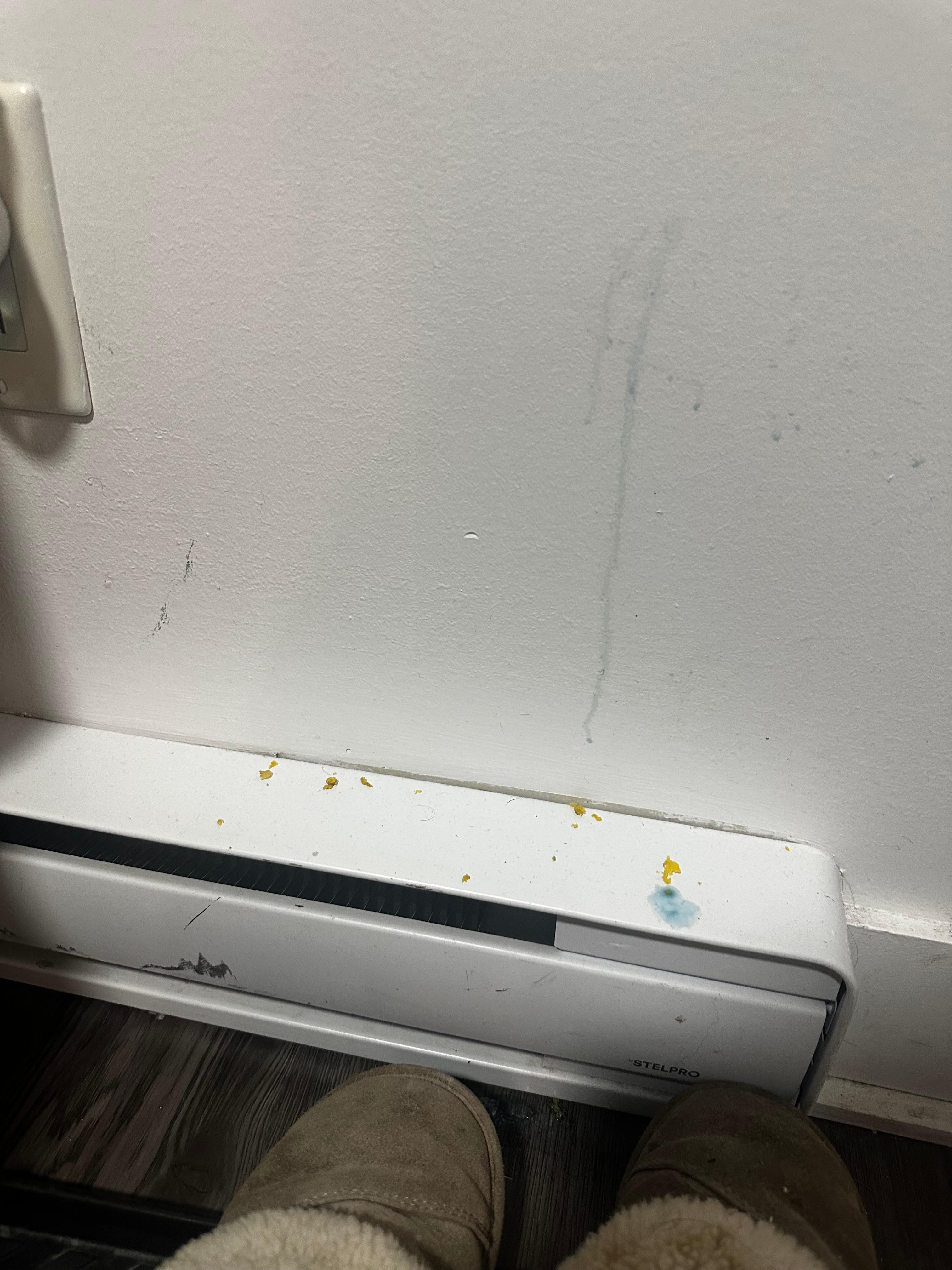 This looked like some sort of dish soap and grated cheese? 