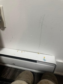 This looked like some sort of dish soap and grated cheese?