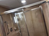 Showers door