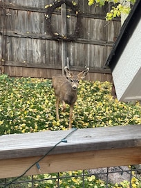 Standing on our private deck.