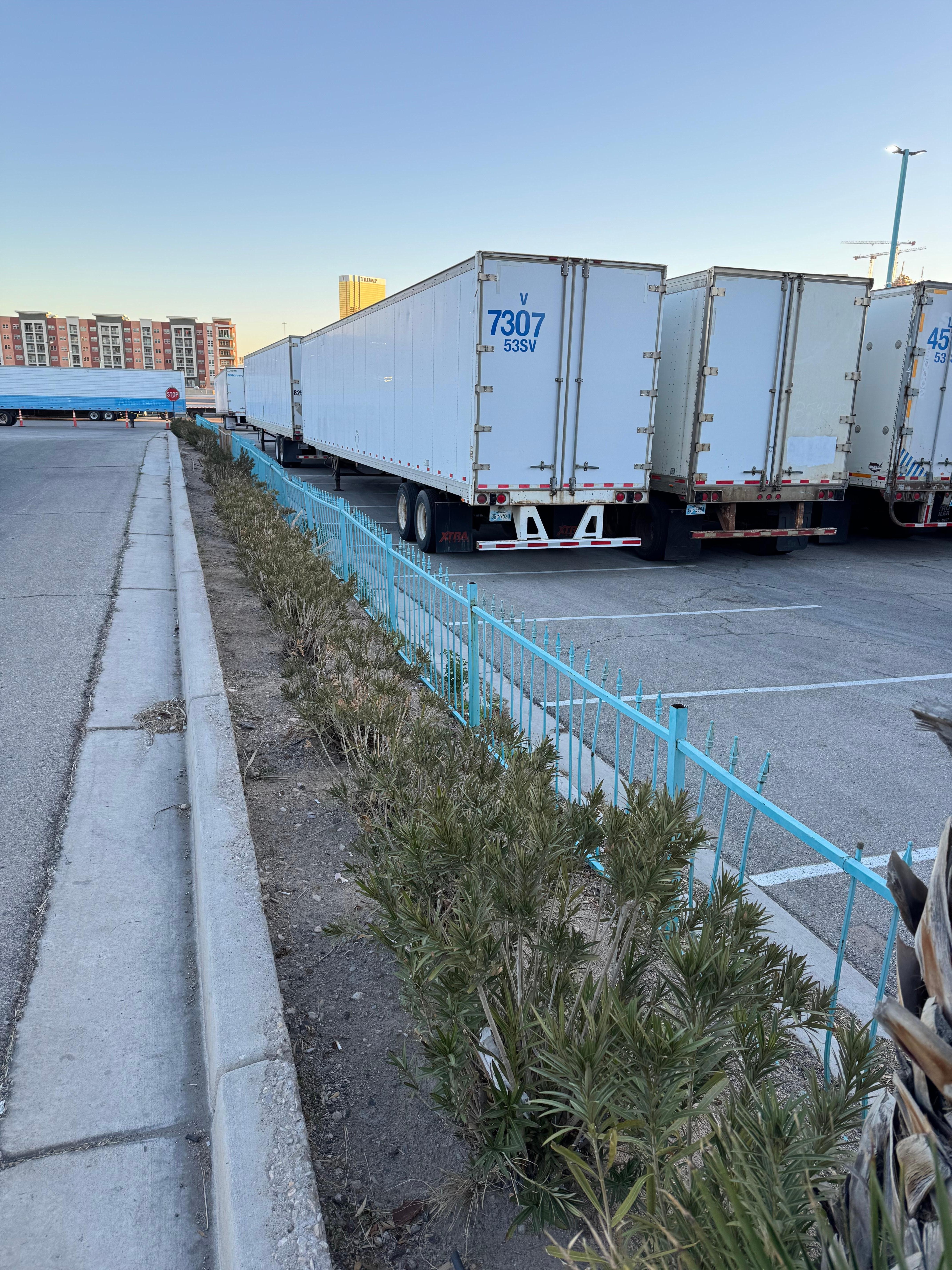 Oleander hedge dying that performs erosion control as well as attractive