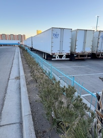 Oleander hedge dying that performs erosion control as well as attractive