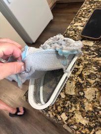Lint trap